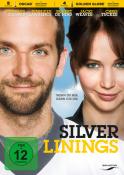 Silver Linings, 1 DVD - DVD