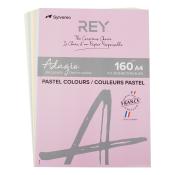 REY Kopierpapier Adagio Pastell 5 x 20 Blatt A4 160 g mehrere Farben