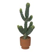 Kaktus Alicante im Terrakotta-Topf 49 cm terrakotta/grün