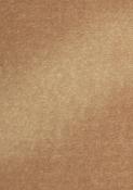 Hintergrund in goldbrauner Farbe mit leicht schimmernder Oberfläche. Keine weiteren Details oder Muster sichtbar.