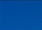 Ein einfarbiges Blatt in kräftigem Blau. Keine weiteren Muster oder Details.