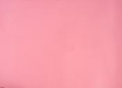 Folia Fotokarton, 50x70cm, rosa, 1 Bogen 