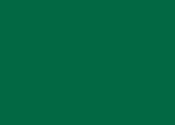 Folia Tonzeichenpapier, 50x70cm, tannengrün, 1 Bogen 