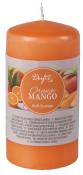 GIES Duftstumpe Orange/Mango 11 x 5,8 cm orange
