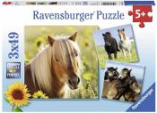 RAVENSBURGER Kinderpuzzle - Liebe Pferde, 3 Puzzle mit je 49 Teilen 