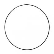 Schwarzer, runder Ring. Keine weiteren Details sichtbar.