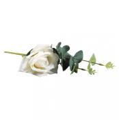 Weiße Rose mit grünen Blättern. Die Blüte ist weich und sieht realistisch aus.