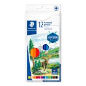 Packung mit 12 Farbstiften in verschiedenen Farben. Auf der Vorderseite ist eine Landschaft mit einem Elch abgebildet.