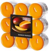Set aus neun orangefarbenen Teelichtern in durchsichtigen Haltern. Auf dem Etikett abgebildete Mango und Papaya. Schriftzug: 'MANGO PAPAYA'.
