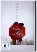 A rainy Day in New York, 1 DVD - dvd