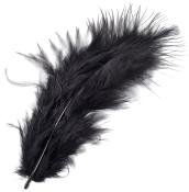 Schwarze Feder mit langen, weichen Fasern. Sie hat eine elegante Form.