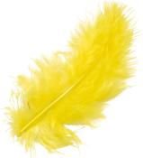 Gelbe Feder, flauschig und weich. Längliche Form, leuchtende Farbe.