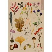 Illustration von verschiedenen Pflanzen und Pilzen. Aquarellstil auf braunem Hintergrund.