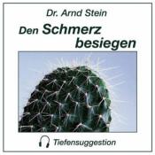 Arnd Stein: Den Schmerz besiegen, 1 CD-Audio - cd