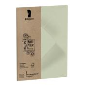 Briefumschlag-Set Terra Kiwi aus Naturpapier