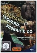 Leopard, Seebär & Co., 4 DVD, 4 DVD-Video - dvd