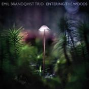 Emil Brandqvist Trio: Entering The Woods, 1 Audio-CD - CD