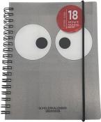 Schülerkalender A6 Funny Eyes 2025/2026 grau