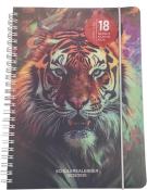 Schülerkalender A5 Tiger 2025/2026 bunt