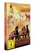 Pferde - Mein größtes Glück, 3 DVD - DVD