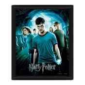 Harry Potter 3D Lenticular Poster (Framed) Order of the Phoenix ca. 25 x 20 cm bunt