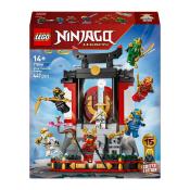 LEGO® NINJAGO 15-jähriges Jubiläum: Ninja-Charaktere zum Ausstellen 447 Teile 71866