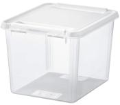 Transparente Aufbewahrungsbox mit einem weißen Deckel. Die Box hat einen rechteckigen Grundriss.