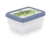 Gefrierdosen-Set Kräuter 4 x 200 ml