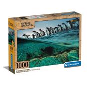 CLEMENTONI National Geographic Eselspinguine 70 x 50 cm 1000 Teile bunt