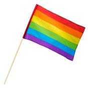 Regenbogen-Flagge Pride 30 x 45 cm bunt