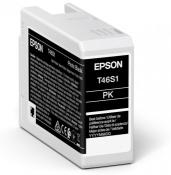 Epson Singlepack Ink photo black T46S1