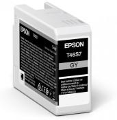 Epson Singlepack Ink grey T46S7