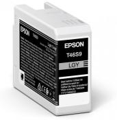 Epson Singlepack Ink light grey T46S9