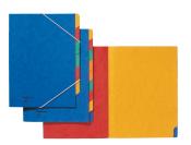 Mehrere Ordner in verschiedenen Farben. Blau, rot, gelb und grün, mit farbigen Trennblättern.