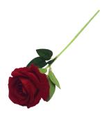 rote Rose mit samtigen Blütenblättern. Grüner Stiel mit Blättern. Einfach und elegant.