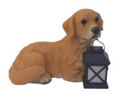 NOVOOO Seasons Hund mit LED-Laterne 20 x 16 cm