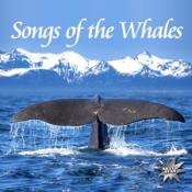 Songs Of The Whales, 1 Audio-CD - CD