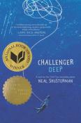 Neal Shusterman: Challenger Deep - Taschenbuch