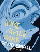 David Small: Home After Dark - gebunden