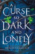 Brigid Kemmerer: A Curse So Dark and Lonely - Taschenbuch