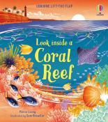 Minna Lacey: Look inside a Coral Reef