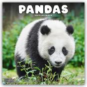 Avonside Publishing Ltd: Pandas - Pandabären 2025 - 16-Monatskalender