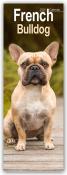 Avonside Publishing Ltd: French Bulldog 2025