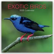 Gifted Stationery Co. Ltd: Exotic Birds - Exotische Vögel 2025 - 16-Monatskalender