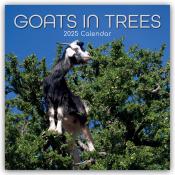 Gifted Stationery Co. Ltd: Goats in Trees - Ziegen auf Bäumen 2025 - 16-Monatskalender