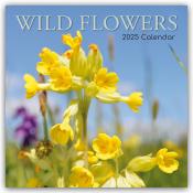 Gifted Stationery Co. Ltd: Wild Flowers - Wildblumen 2025 - 16-Monatskalender