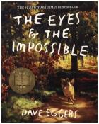 Dave Eggers: The Eyes & the Impossible - Taschenbuch