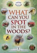 Ben Hoare: What Can You Spot in the Woods? - Taschenbuch