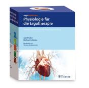 Michael Schünke: ergoLernkarten - Physiologie für die Ergotherapie