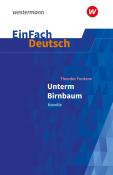Timotheus Schwake: EinFach Deutsch Textausgaben - Taschenbuch
